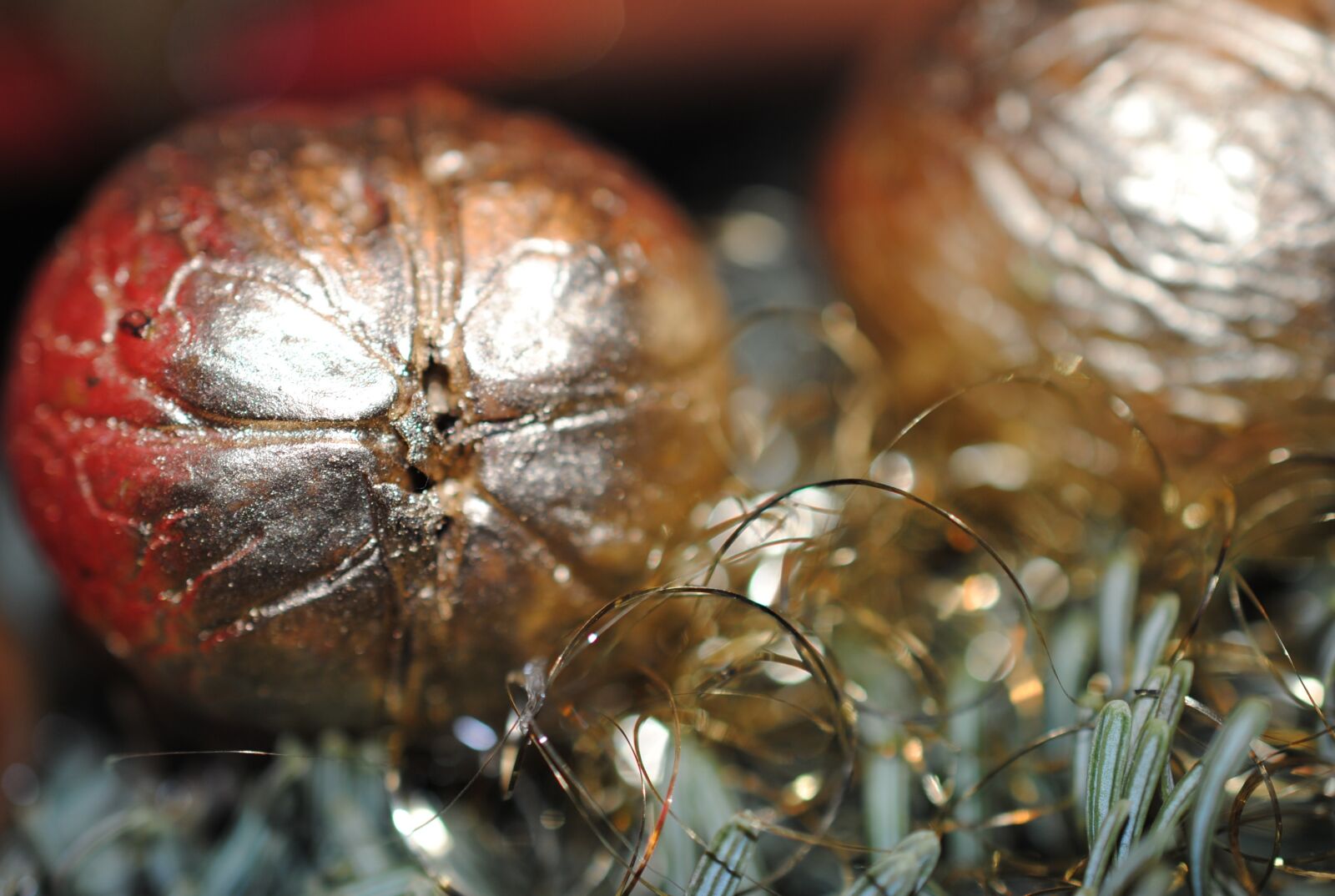 Nikon D3000 sample photo. Christmas, nuts, gold photography