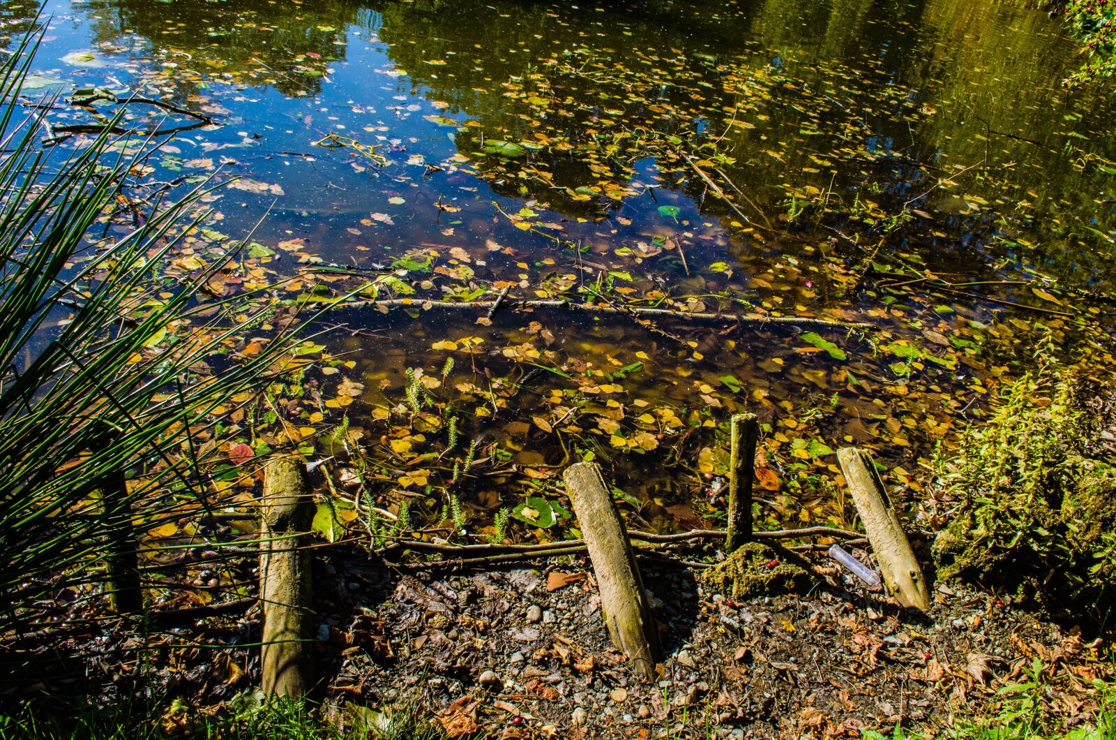 Nikon D5100 sample photo. Lake, autumn, nature photography