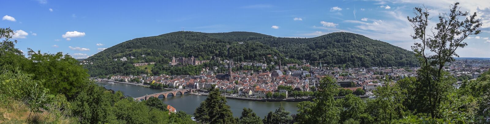 Nikon D3300 sample photo. Panorama, city, skyline photography