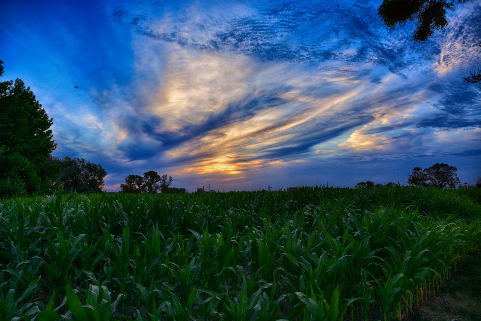 Nikon D5200 sample photo. Nature, sun, sky photography