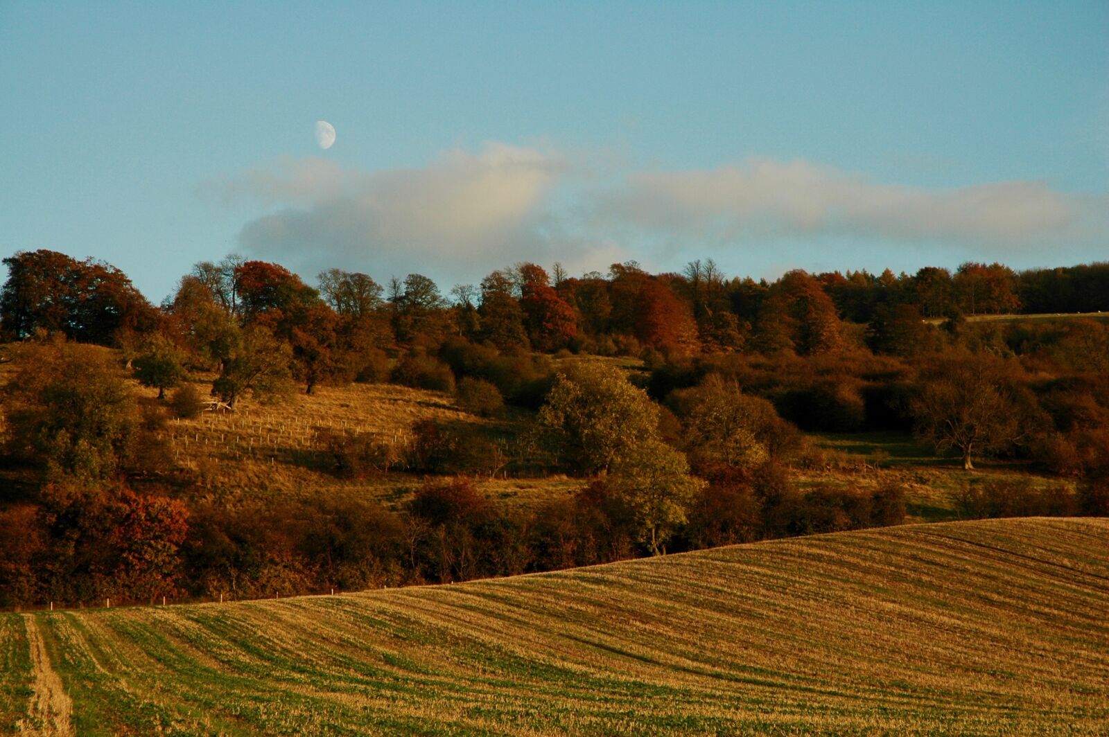 Nikon D70s sample photo. Autumn, fall, nature photography