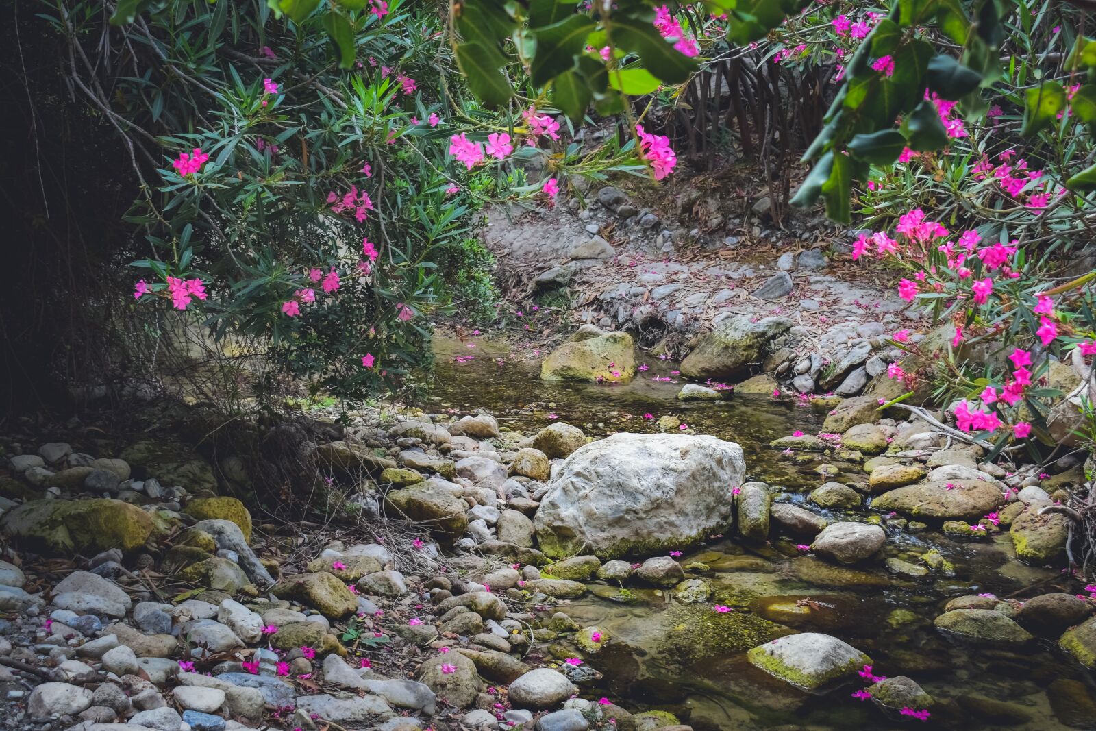 Nikon D3300 sample photo. Cyprus, akamas, national park photography