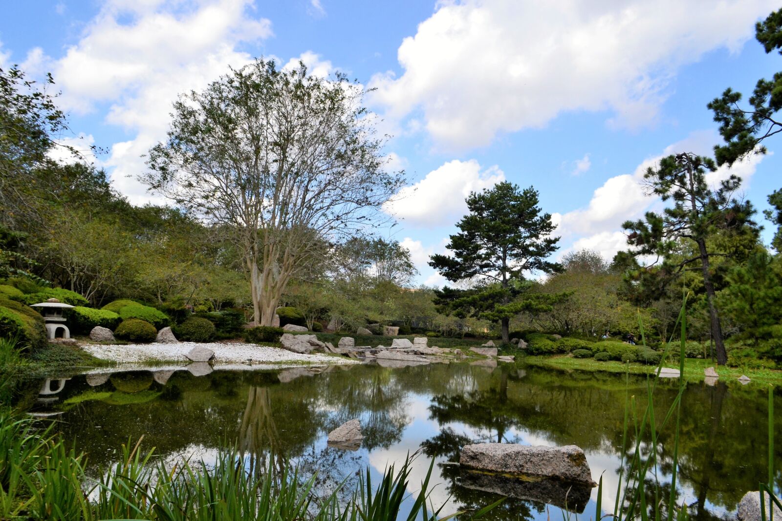 Nikon D3100 sample photo. Botanical garden, japanese garden photography
