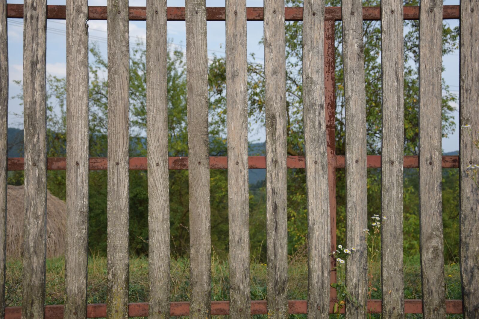 Nikon D3300 sample photo. Fence, wood, wooden photography