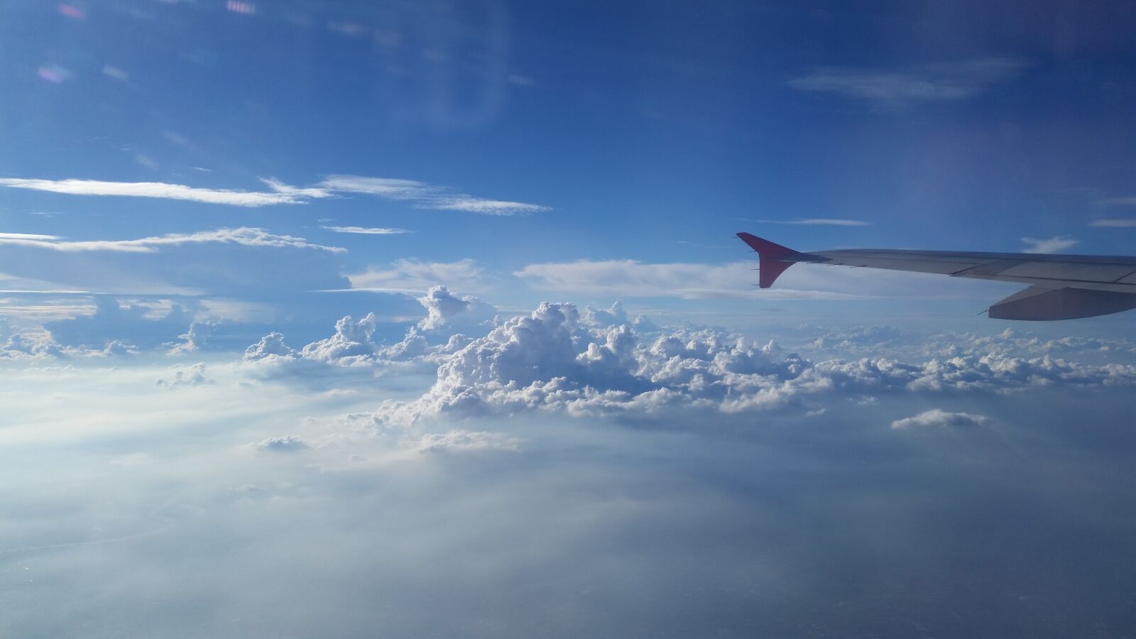 Samsung Galaxy S5 sample photo. The plants, airplane, cloud photography