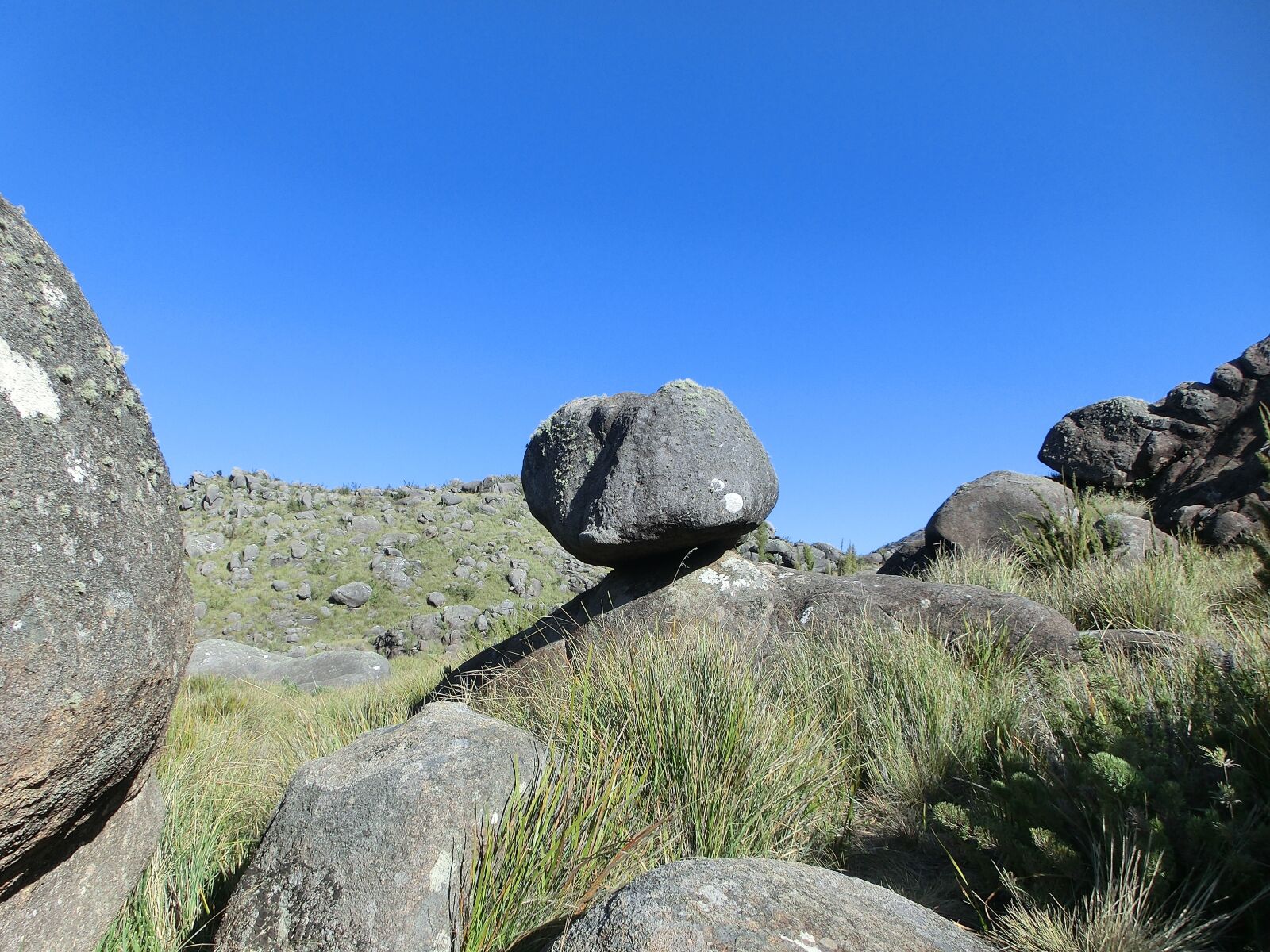 CASIO EX-ZR100 sample photo. Brazil, national park, itatiaia photography