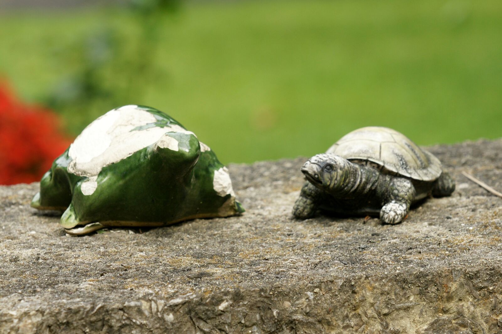 Sony Alpha DSLR-A700 sample photo. Turtles, duo, pair photography
