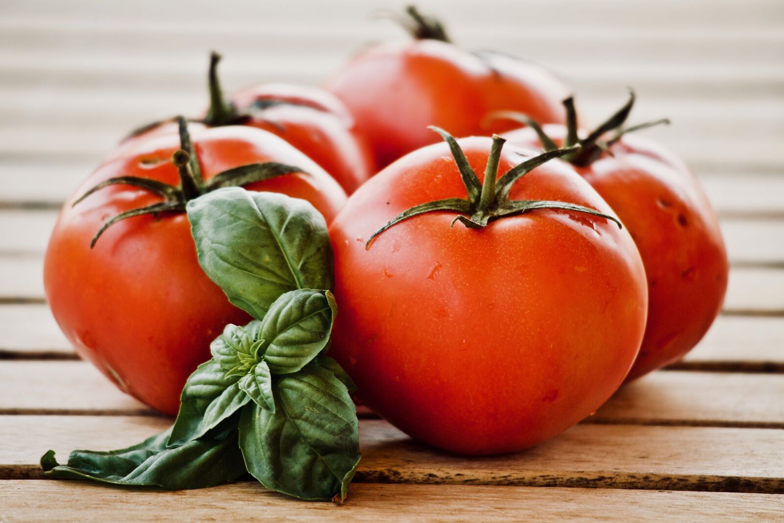 Canon EOS M sample photo. Tomatoes, basil, food photography