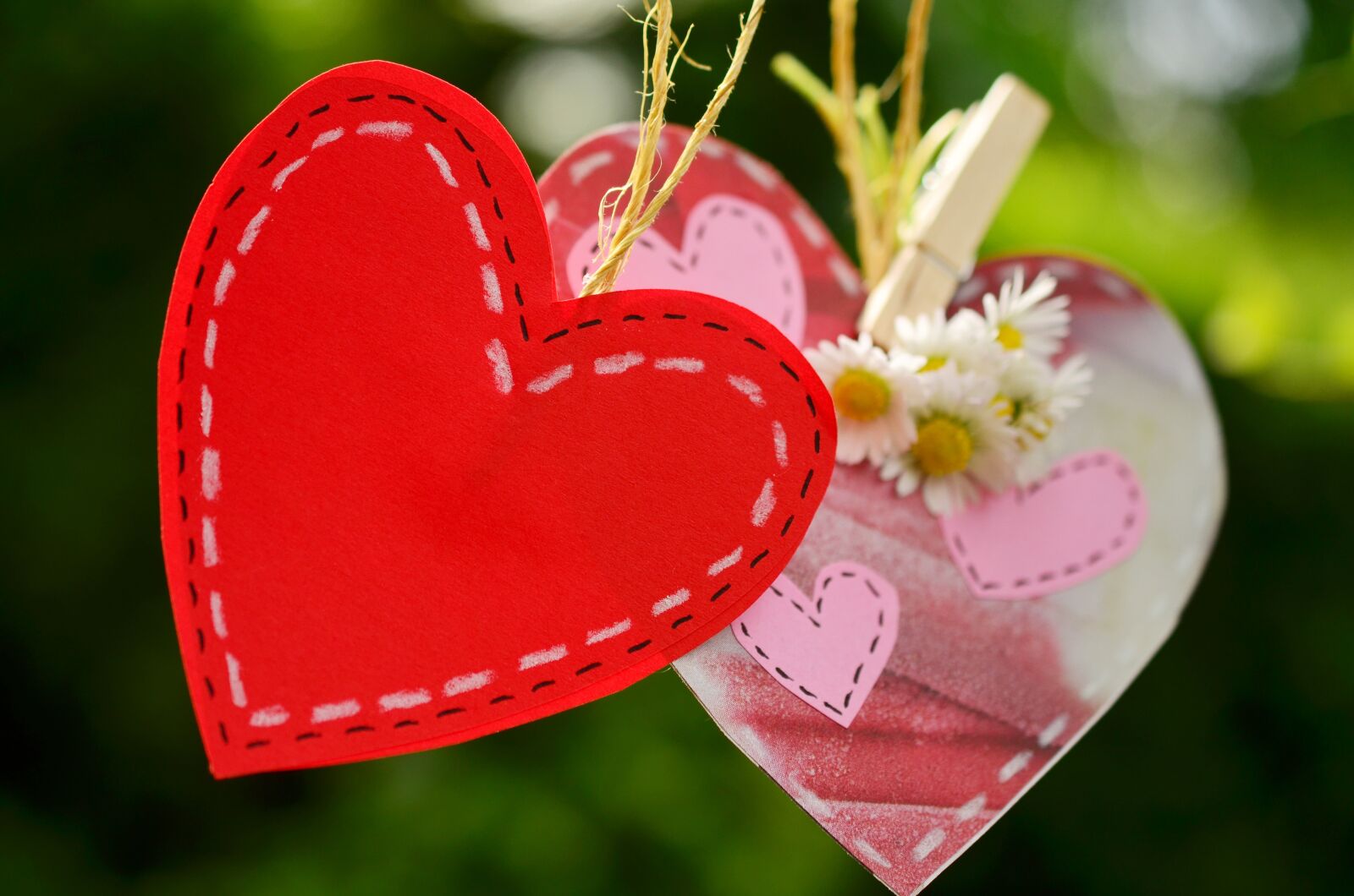 Nikon D5100 sample photo. Heart, red heart, love photography