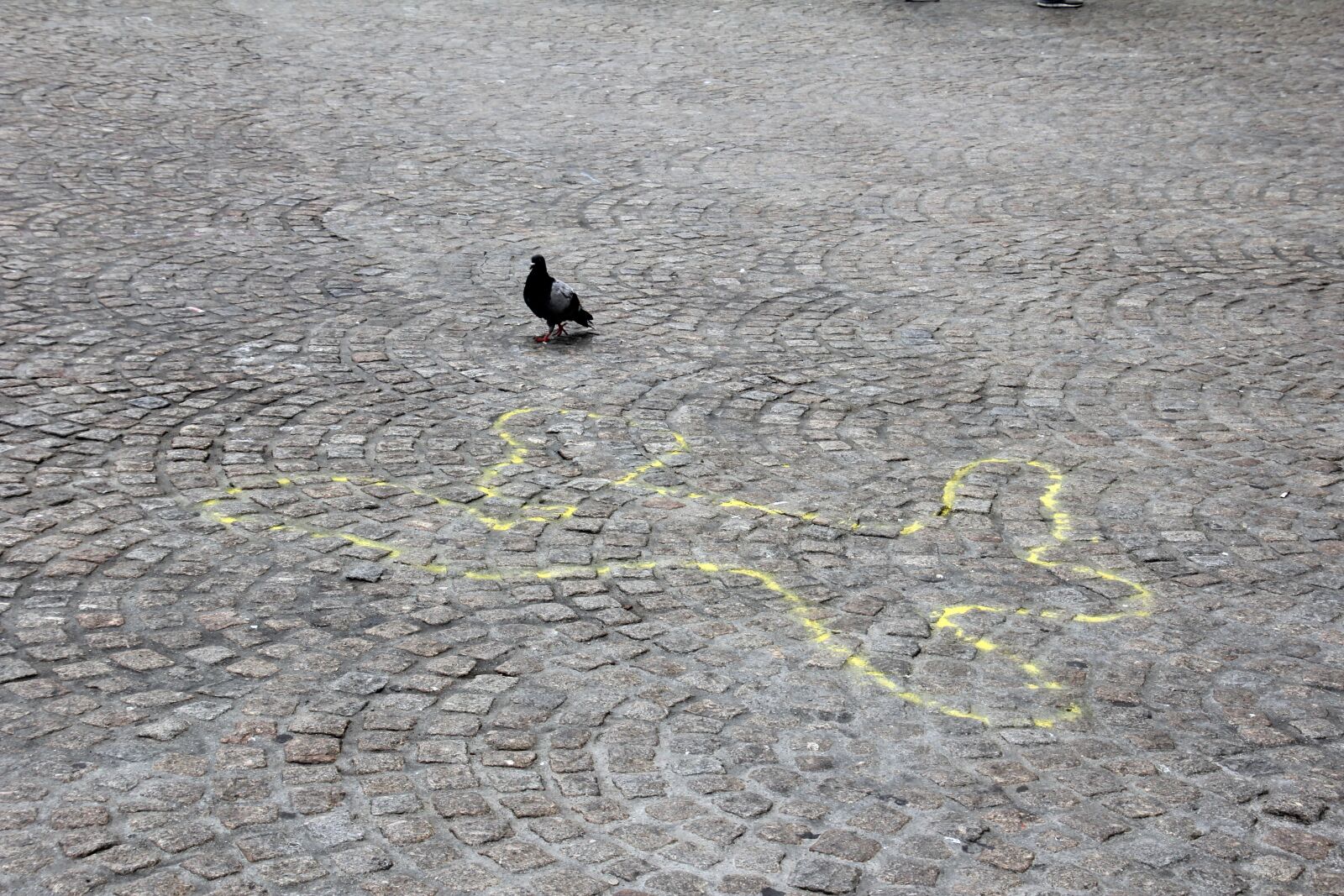 Canon EOS 60D sample photo. Criminal case, murder, chalk photography