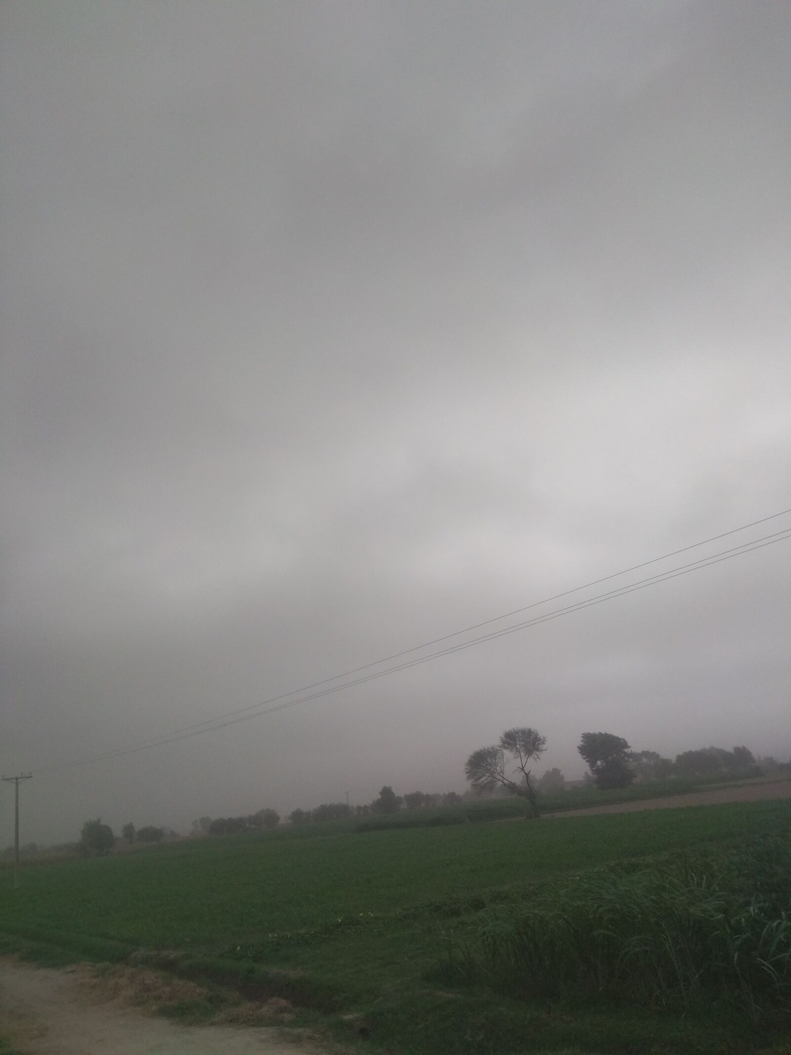 Xiaomi Redmi Note 4 sample photo. Dark weather, dense weather photography