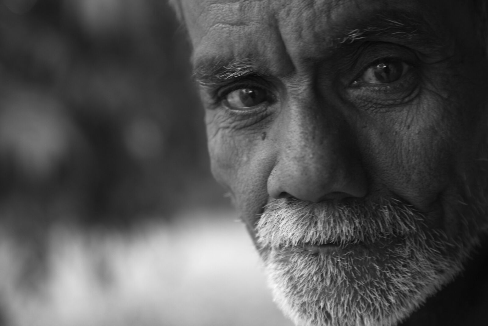 Canon EOS 5D Mark II sample photo. India, sri lanka, culture photography