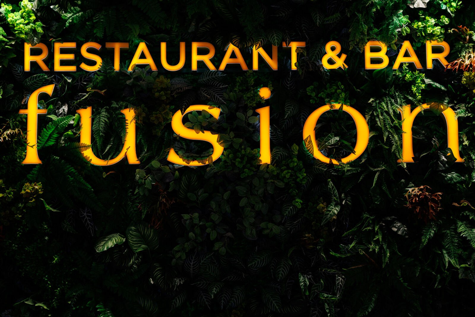 Sigma 56mm F1.4 DC DN | C sample photo. Fusion restaurant photography