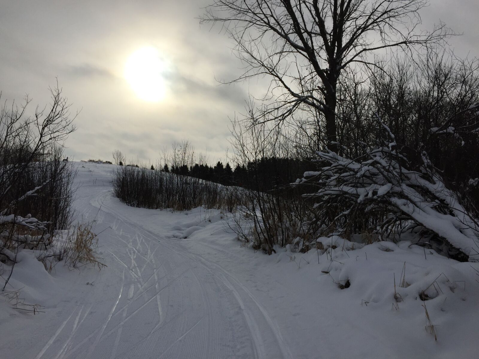 iPhone 6 Plus back camera 4.15mm f/2.2 sample photo. Snow, xc skiing, cross-country photography