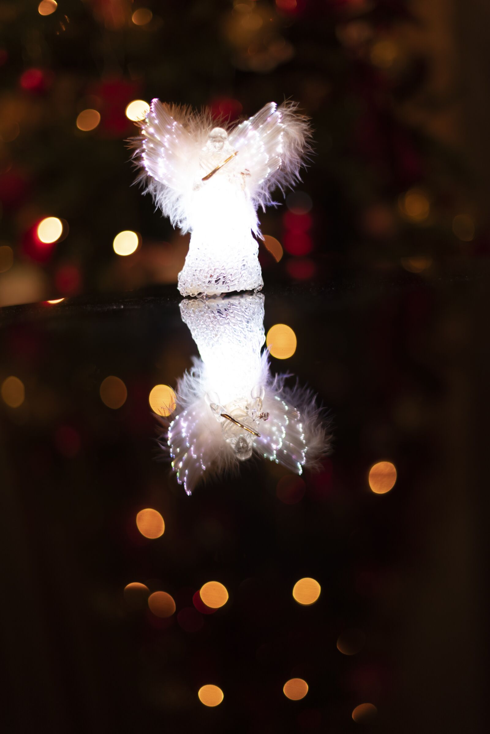 Nikon D750 sample photo. Christmas, lights, holiday photography
