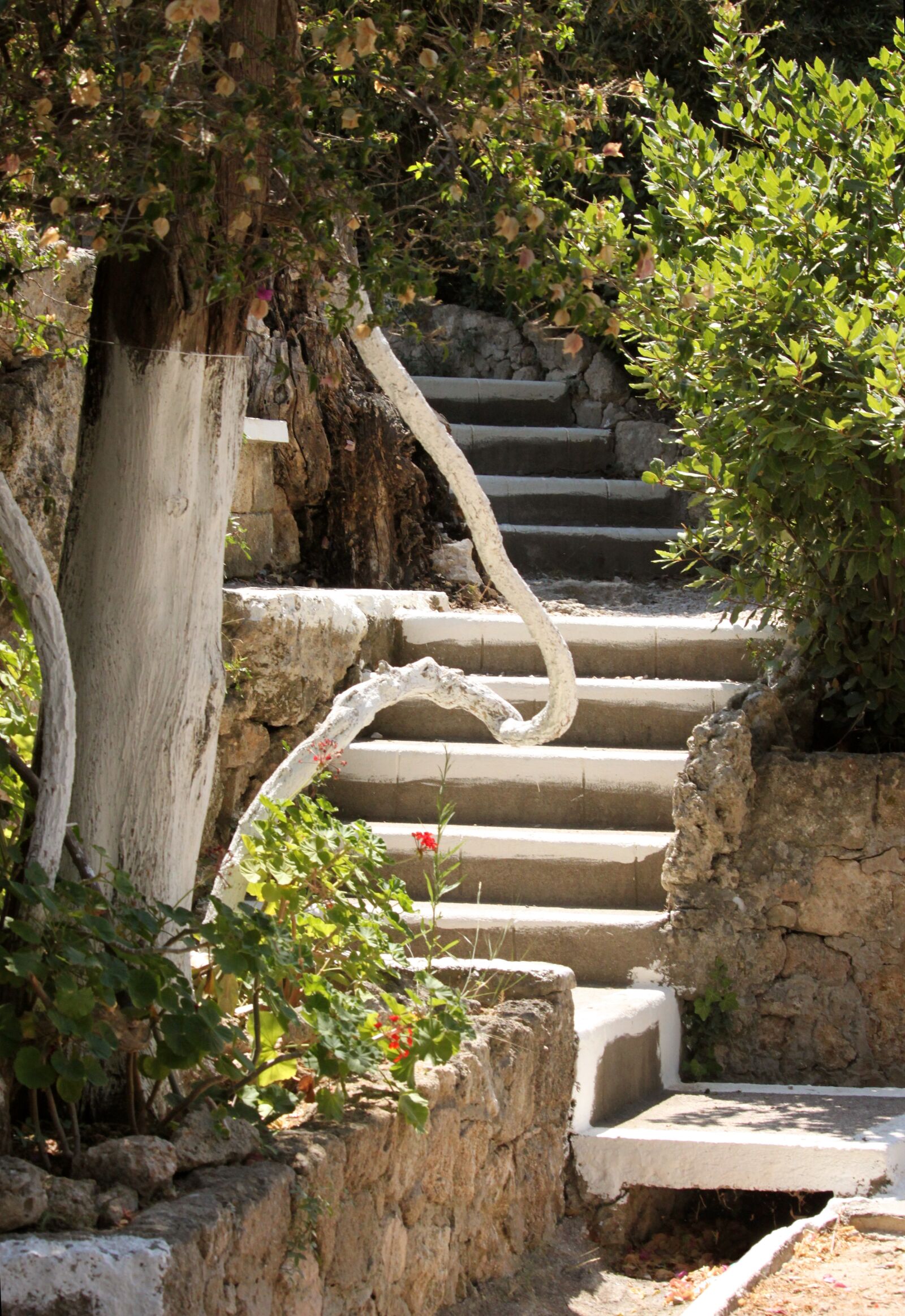 Canon EOS 500D (EOS Rebel T1i / EOS Kiss X3) sample photo. Staircase, greece, summer photography