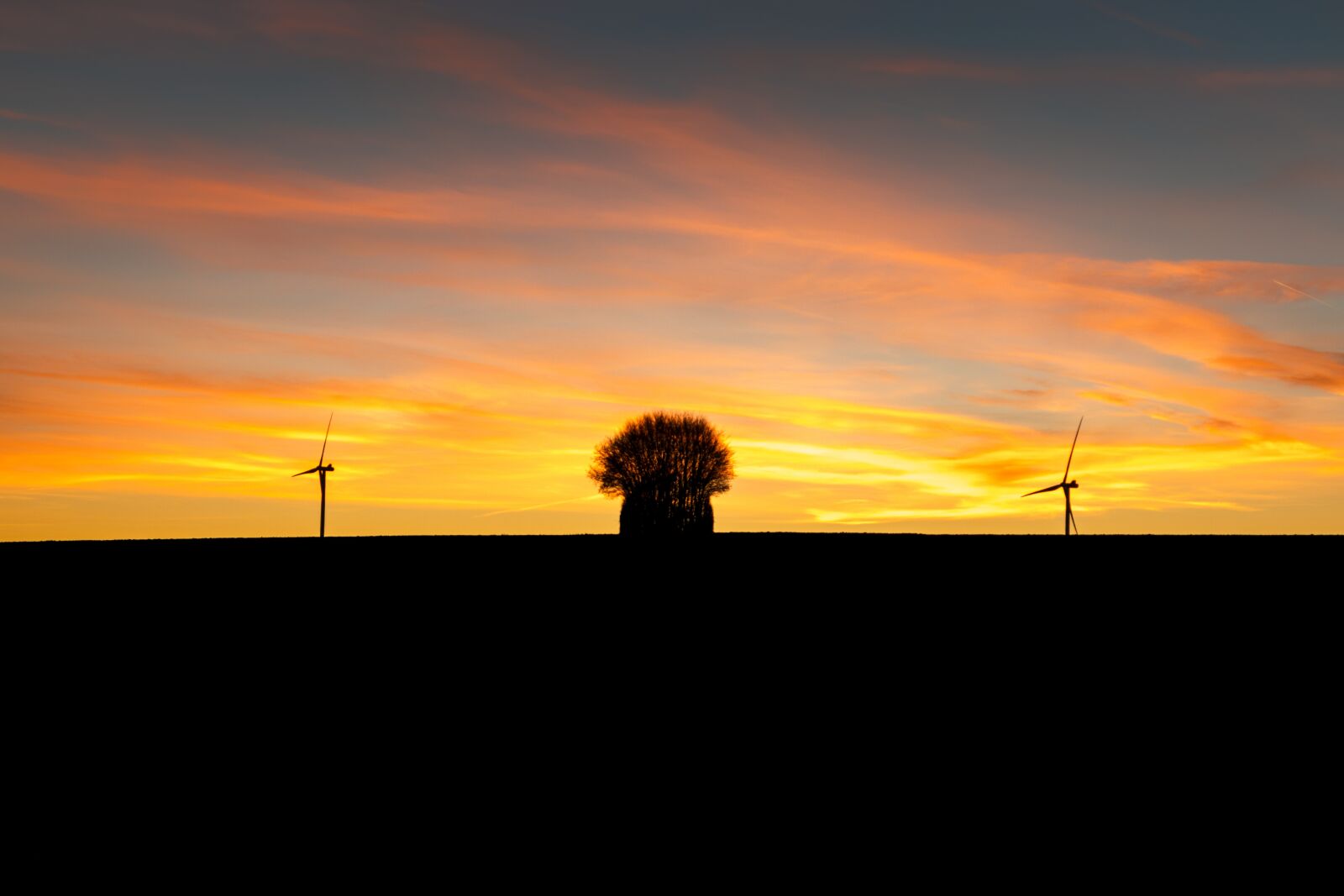 Canon EOS 80D sample photo. Sunset, sun, field photography