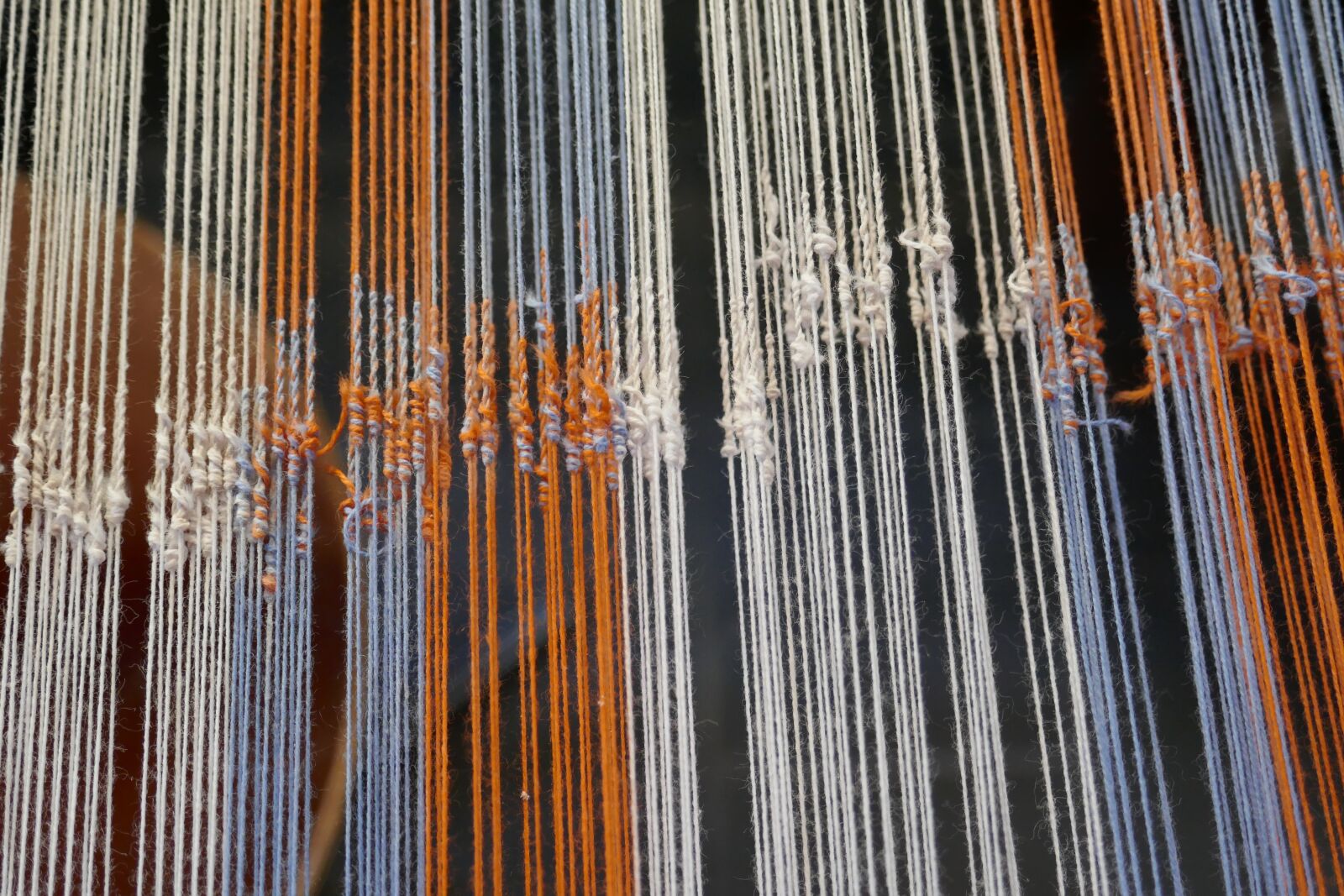 Panasonic Lumix DMC-ZS100 (Lumix DMC-TZ100) sample photo. Weaving, sticking, wires photography