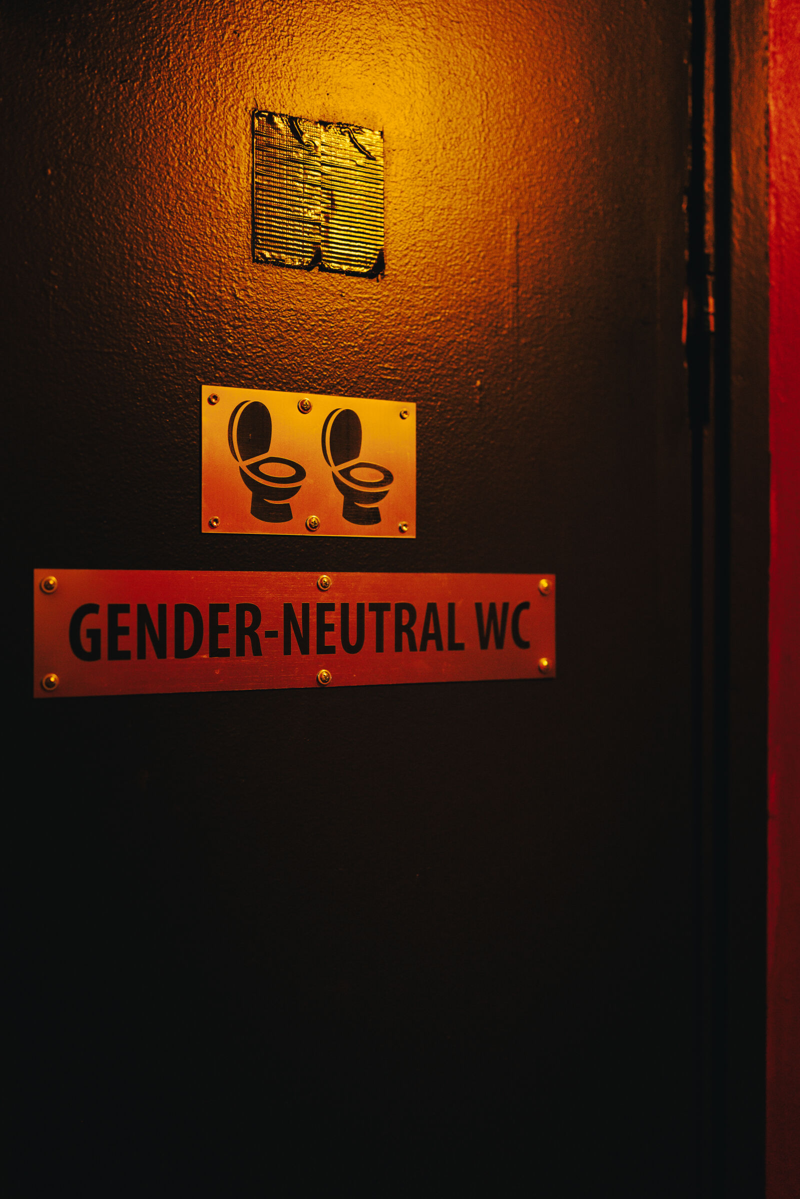 Canon EOS R5 Mark II sample photo. Gender neutral wc photography