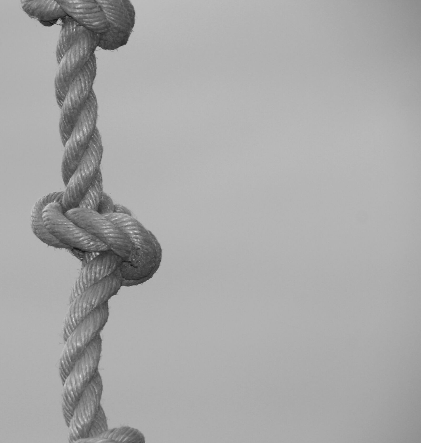 Canon EOS 650D (EOS Rebel T4i / EOS Kiss X6i) sample photo. Rope, knot, dew photography