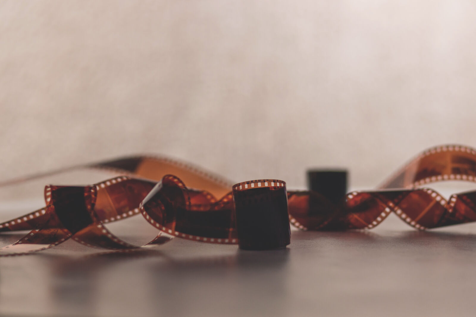 Canon EF 85mm F1.8 USM sample photo. Brown, film photography