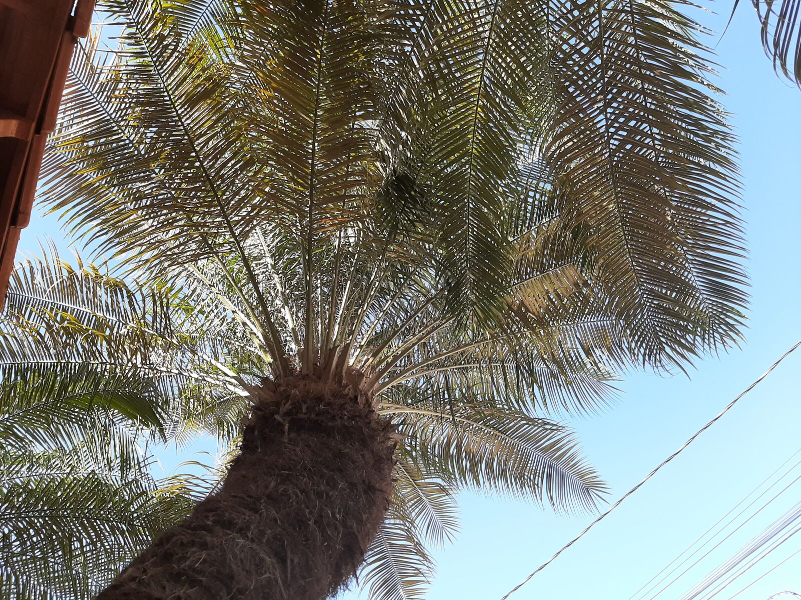 Samsung Galaxy A50 sample photo. Nature, home, landscape photography