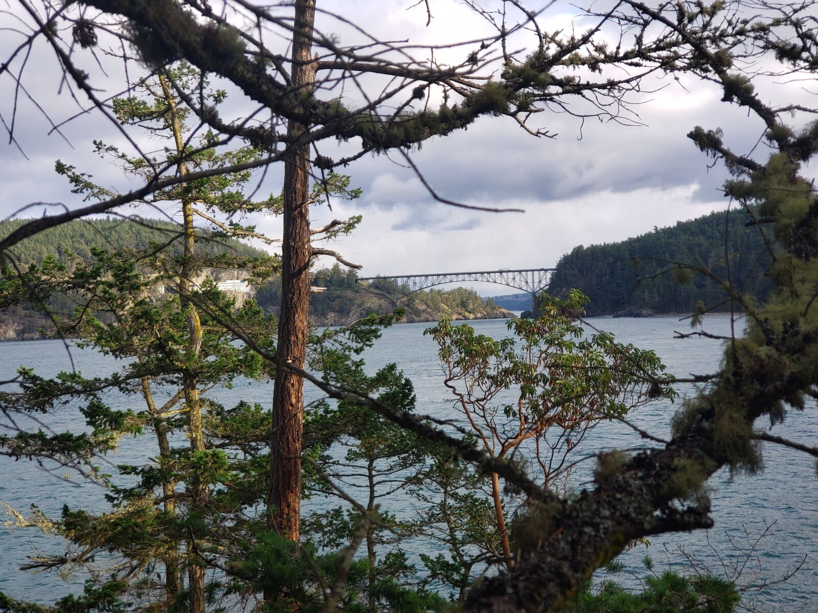 Samsung Galaxy S9+ sample photo. Washington state, deception pass photography