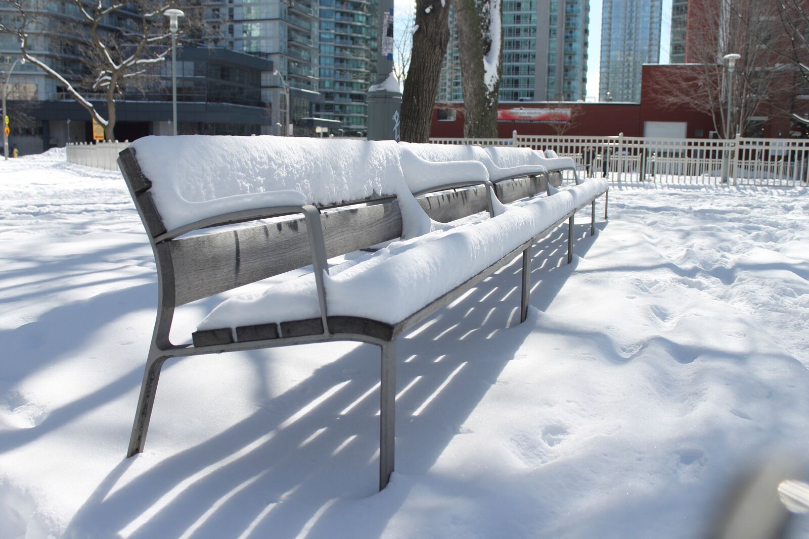 Canon EOS 1100D (EOS Rebel T3 / EOS Kiss X50) sample photo. Snow, winter, white photography