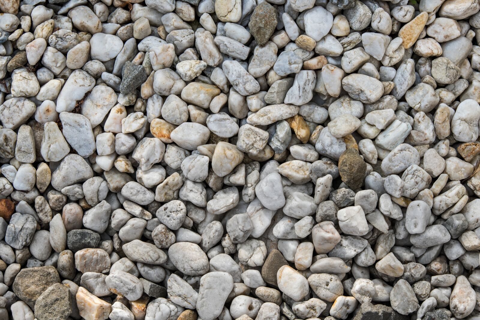Nikon D750 sample photo. Background with stones, small photography