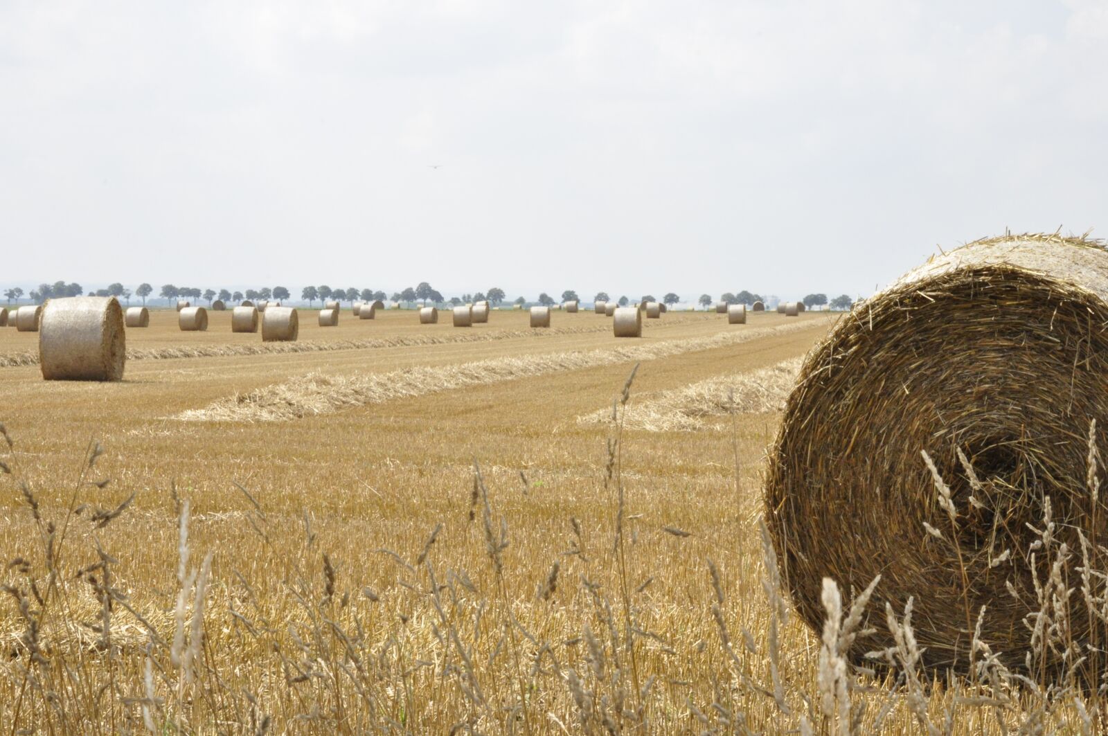 Nikon D5000 sample photo. Hay, landscape, field photography