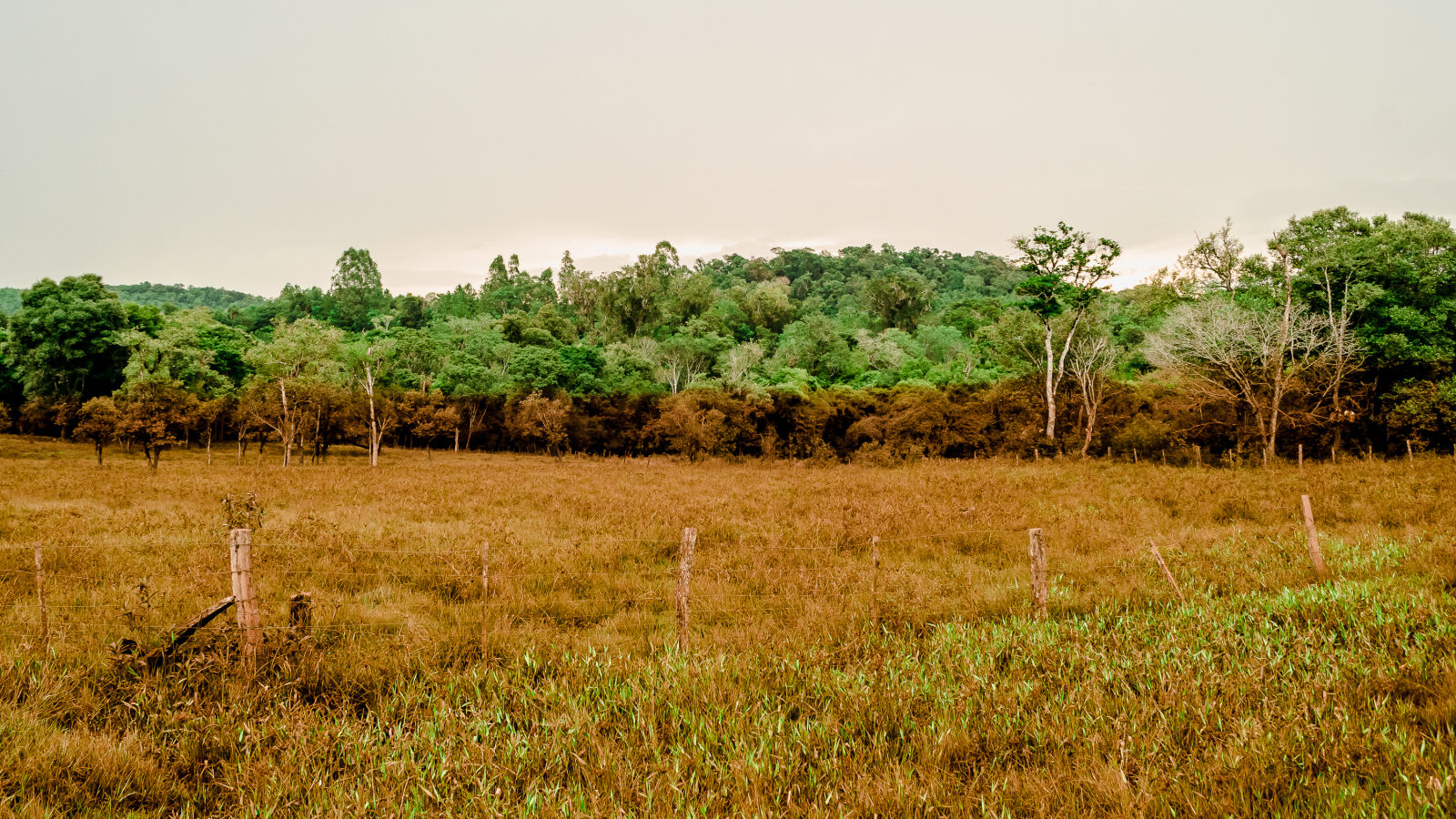 Nikon D5100 sample photo