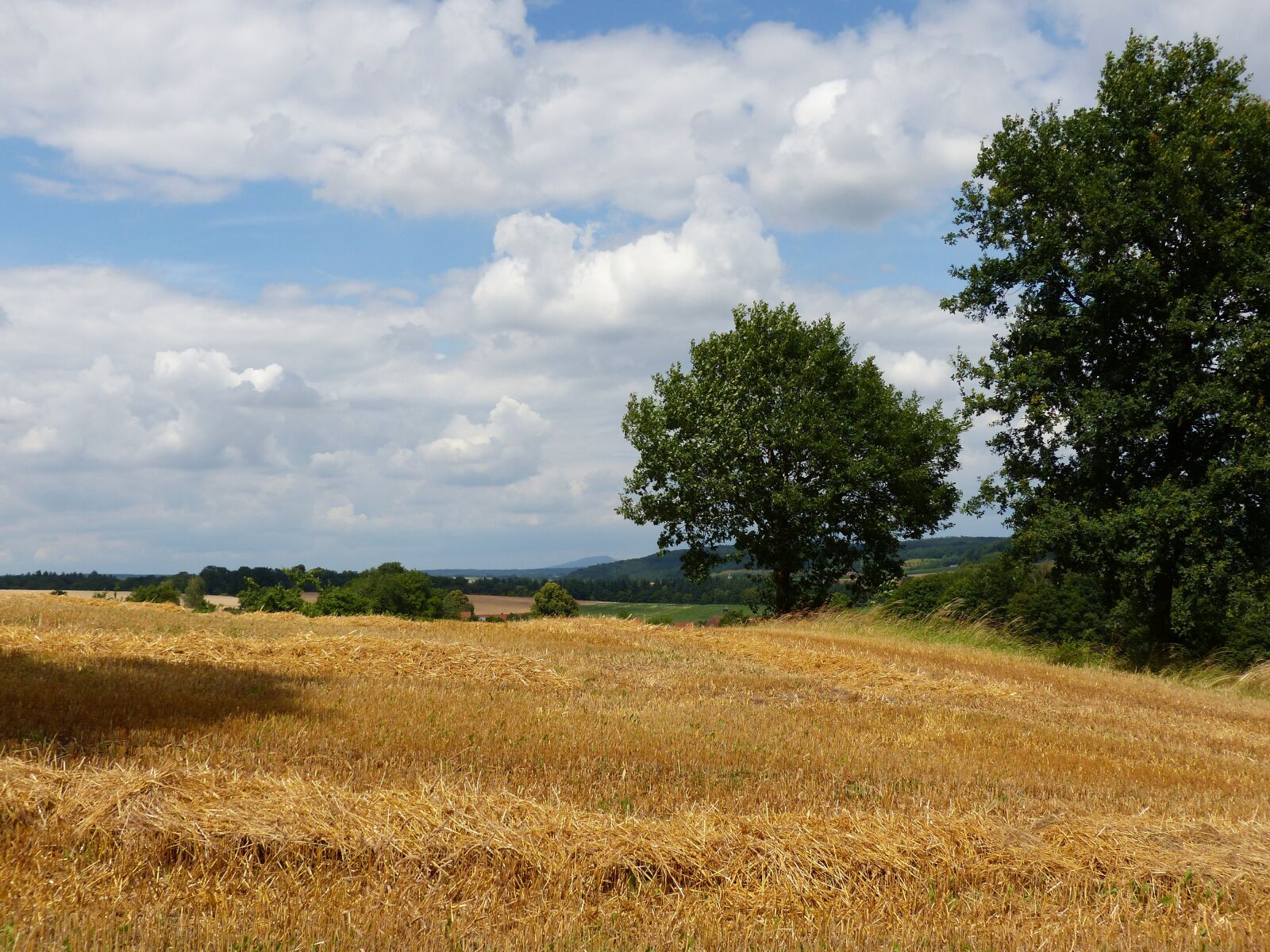 Panasonic Lumix DMC-FZ200 sample photo. Summer, hate mountains, upper photography