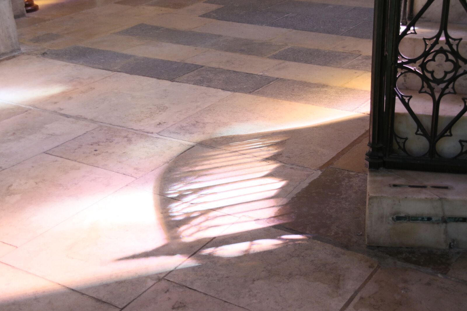 Canon EOS 7D Mark II sample photo. Game, shadow, light photography