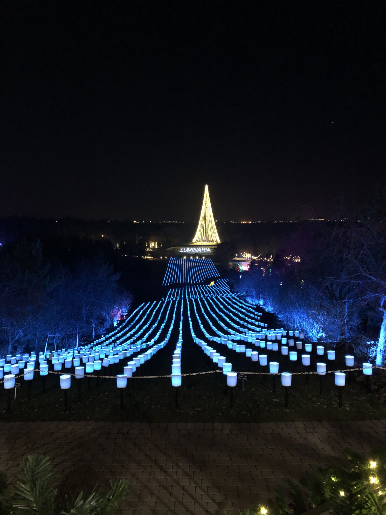iPhone X back dual camera 4mm f/1.8 sample photo. Lights, blue, christmas photography