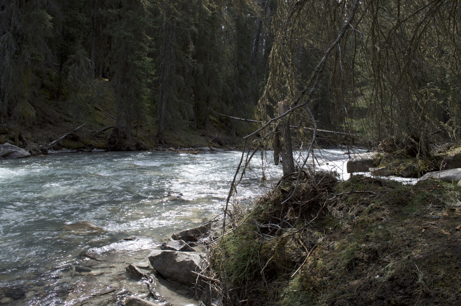 Nikon D3200 sample photo. Canada, clear, water, crystal photography