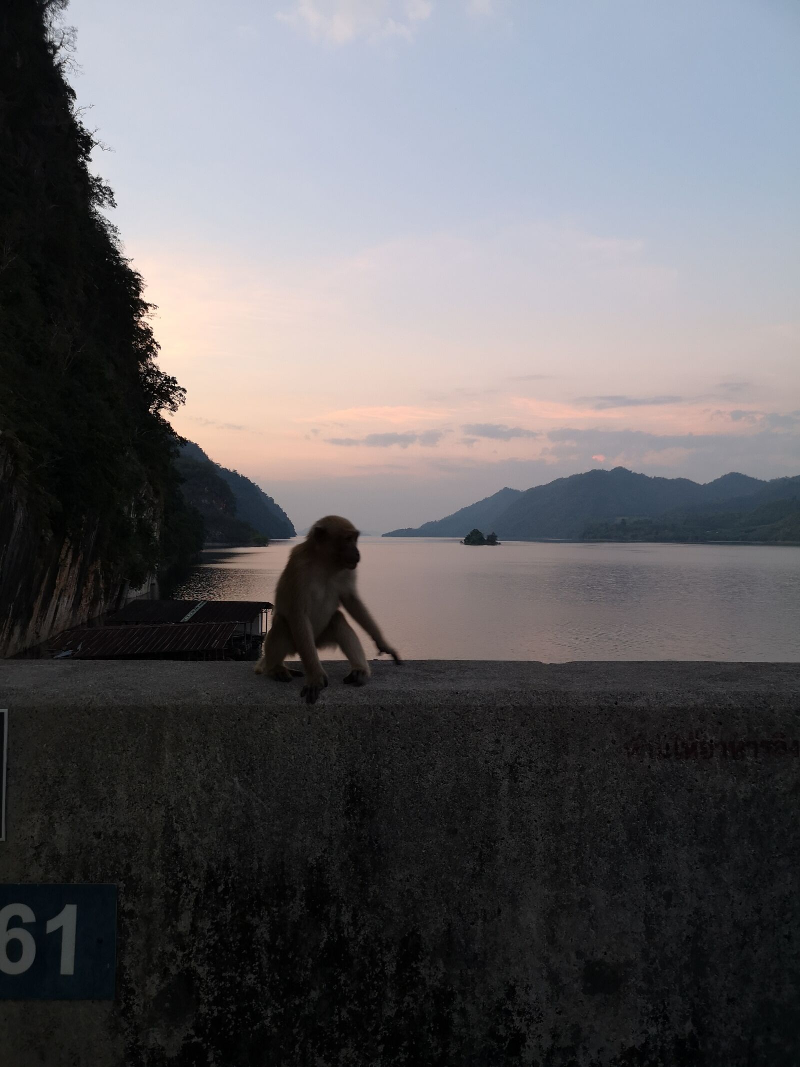 HUAWEI CLT-L29 sample photo. Monkey, sunset, solitude photography