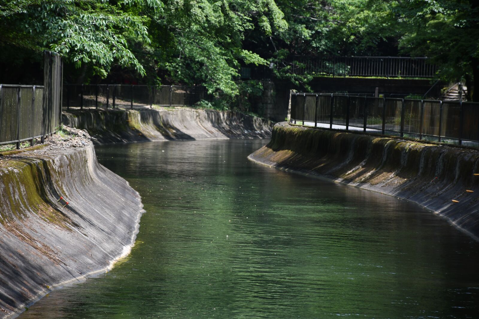 Nikon D7500 sample photo. Lake biwa canal, river photography