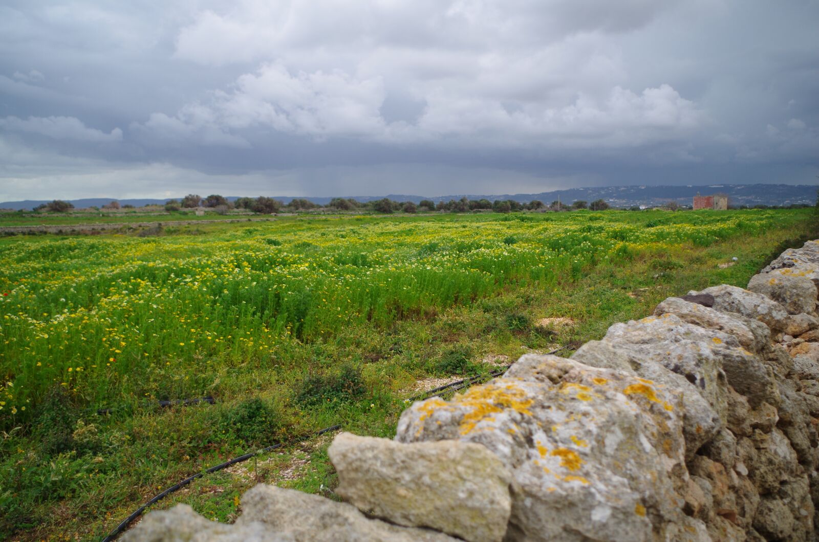 Pentax K-50 sample photo. Dry wall, campaign, puglia photography