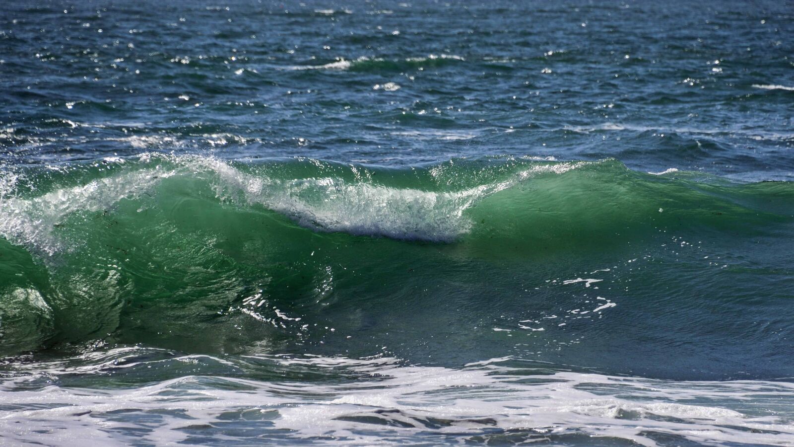 Nikon D500 sample photo. Sea, horizon, water, coast photography