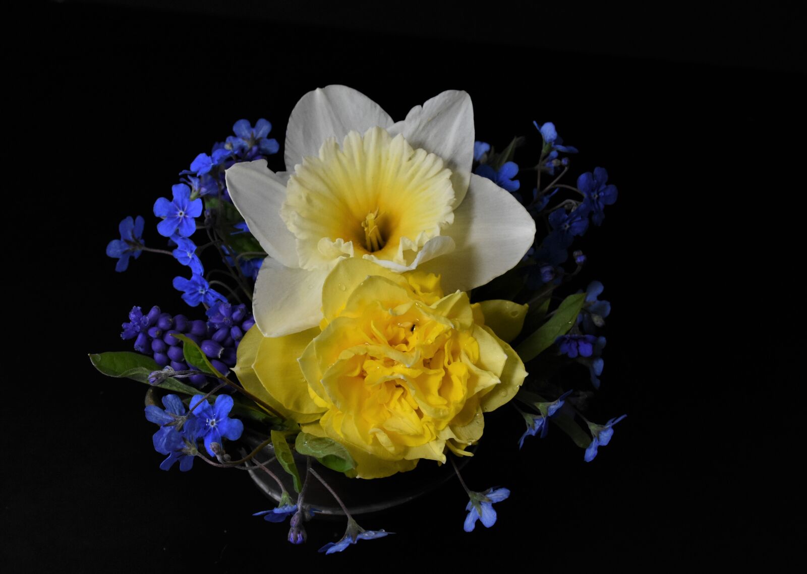 Nikon D7200 sample photo. Forget me not, tulips photography