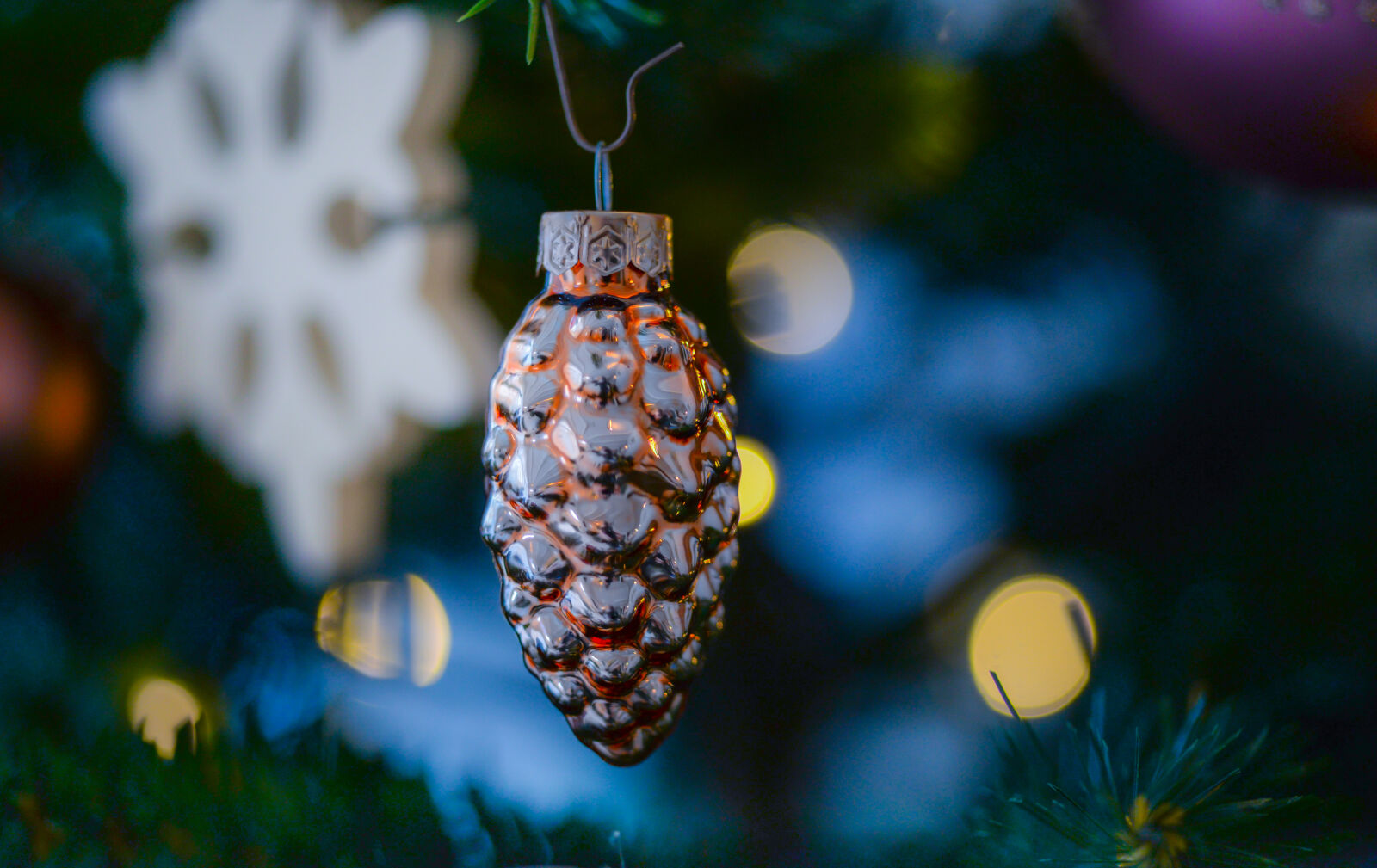 Nikon D610 + AF Micro-Nikkor 55mm f/2.8 sample photo. Amber, glass, pine, cone photography
