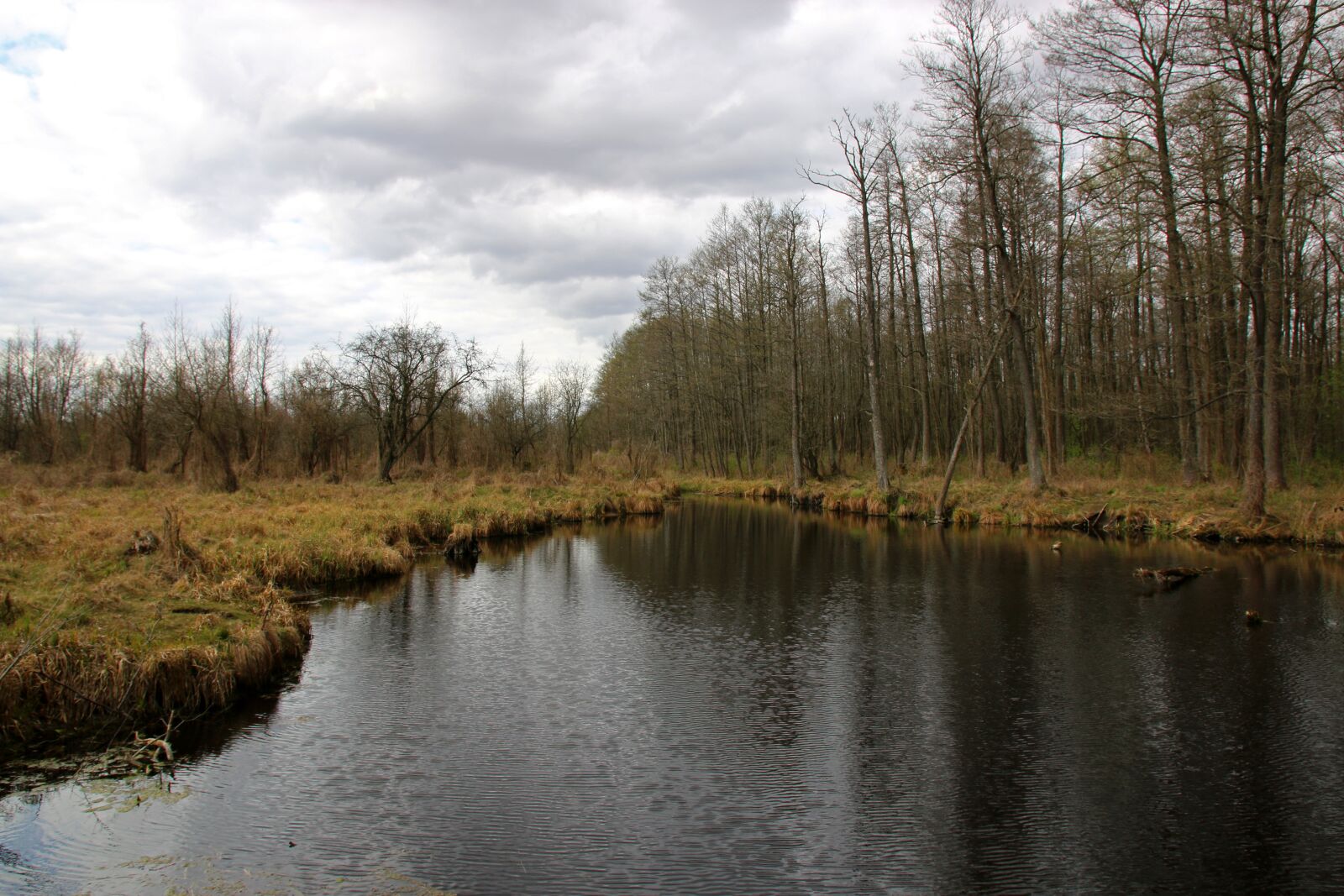 Canon EOS 70D sample photo. Biebrza, wetlands, marsh photography