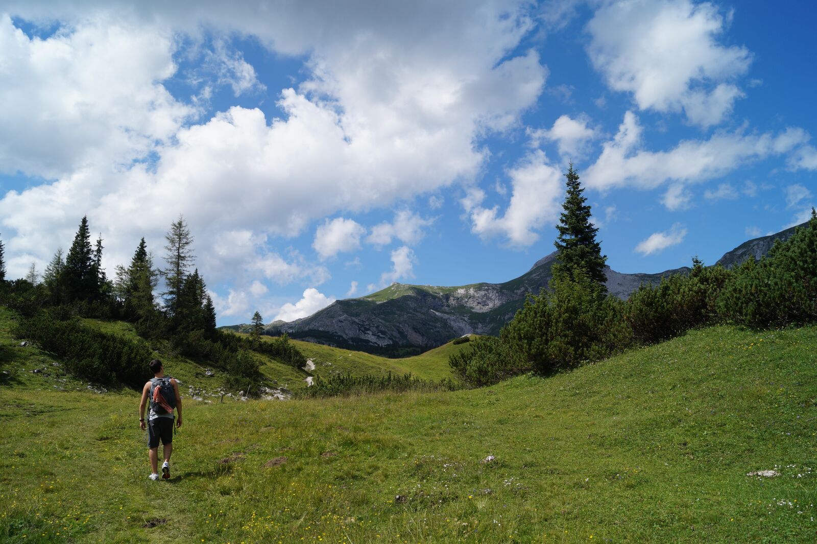 Sony DT 18-55mm F3.5-5.6 SAM II sample photo. Lace berges, austria, mountains photography