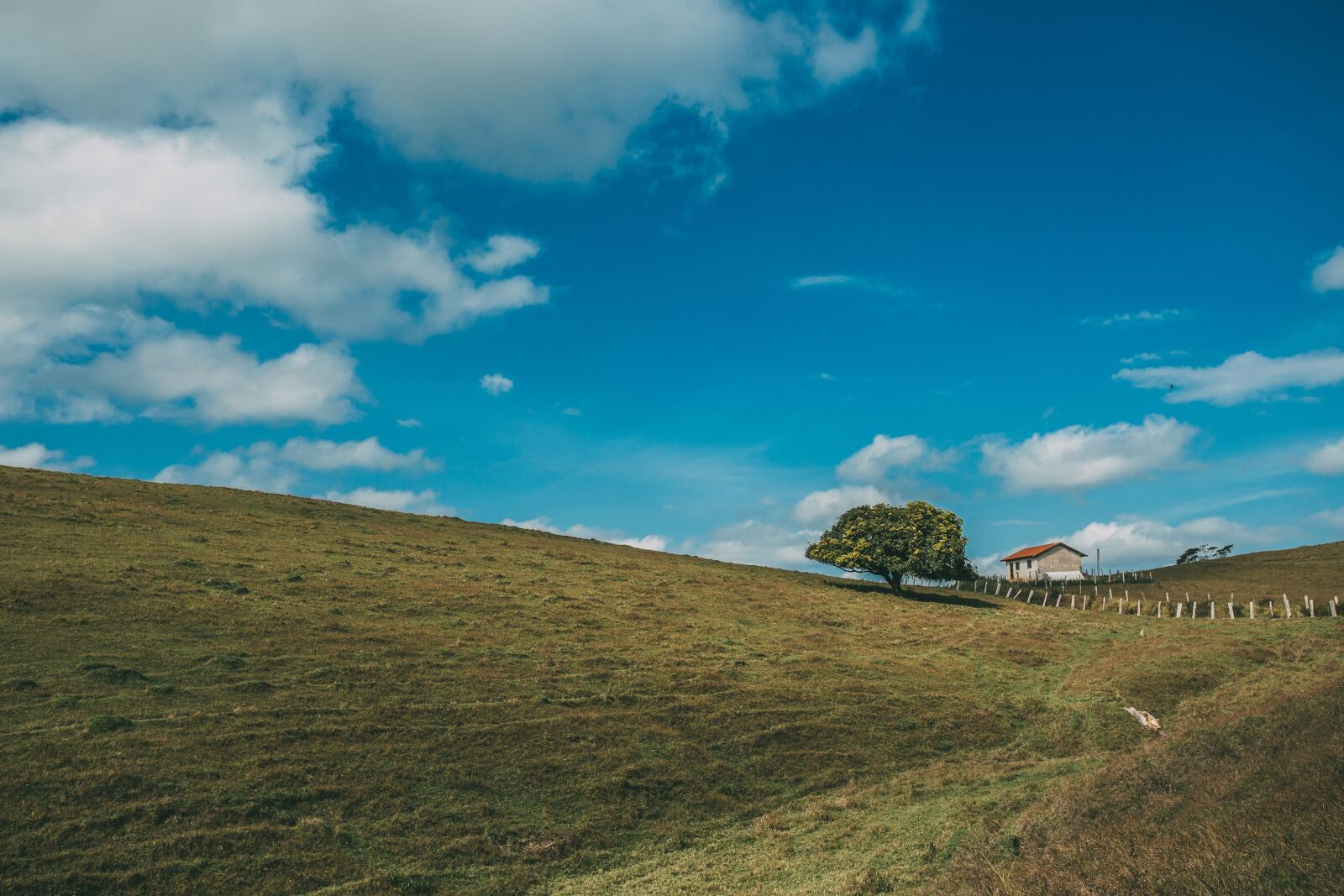 Canon EOS 6D + Canon EF 17-40mm F4L USM sample photo. Nature, landscape, plains photography