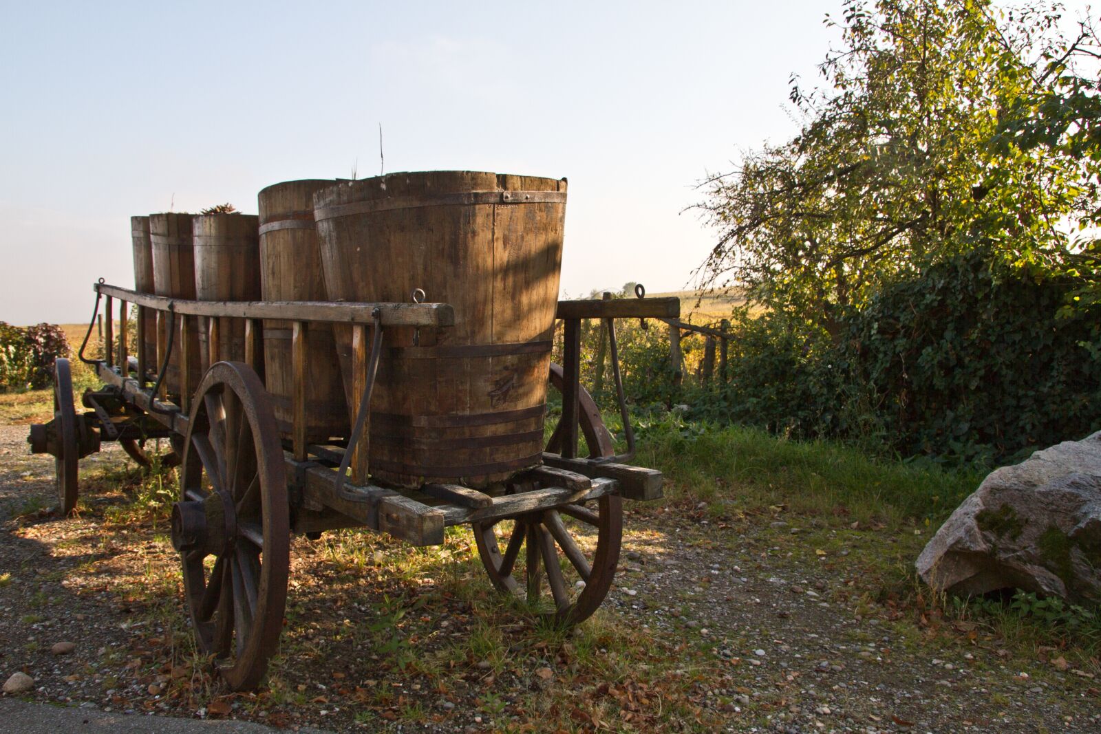Canon EOS 7D sample photo. Cart, wine, wine growers photography