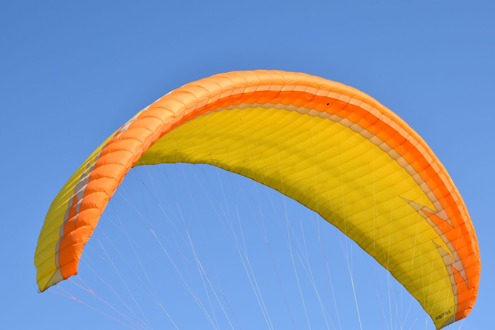 Nikon D5600 sample photo. Paragliding, sailing, wing photography