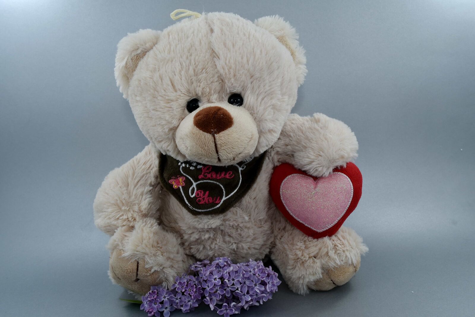 Nikon D5500 sample photo. Flower, heart, lilac, love photography