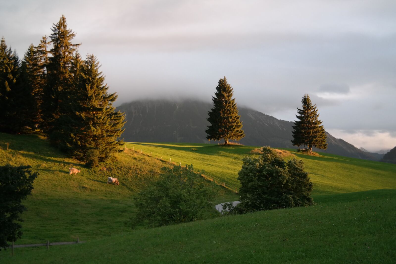 Samsung NX300 sample photo. Landscape, hill, green photography