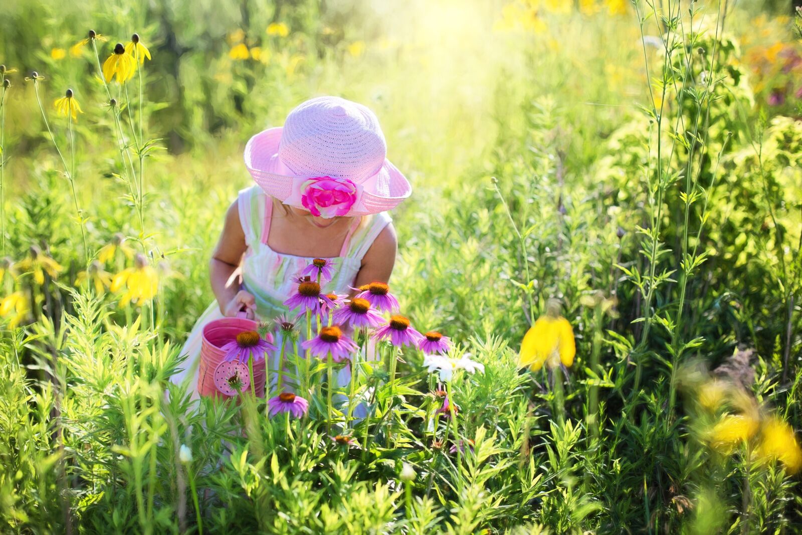 Canon EF 50mm F1.4 USM sample photo. Little girl, wildflowers, meadow photography
