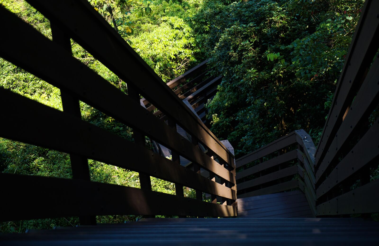 Sony a6000 sample photo